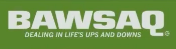 BAWSAQ Logo GTA5